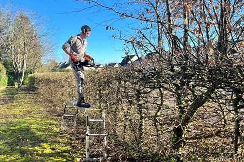 Entretien arbres et arbustes Verdun et Meuse